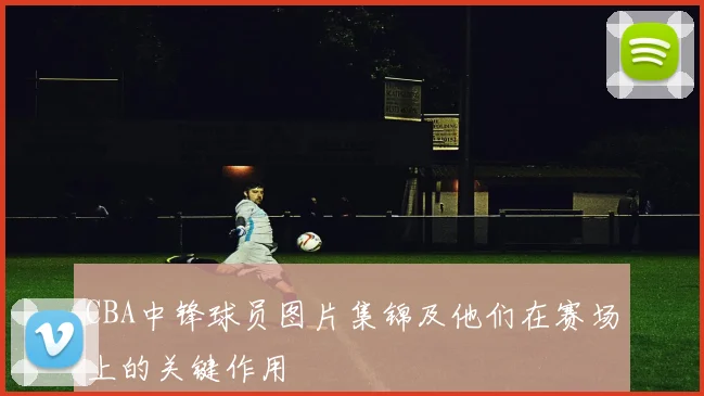 CBA中锋球员图片集锦及他们在赛场上的关键作用