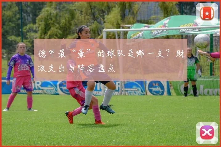 德甲最“豪”的球队是哪一支？财政支出与阵容盘点