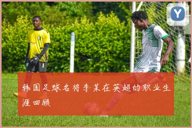 韩国足球名将李某在英超的职业生涯回顾
