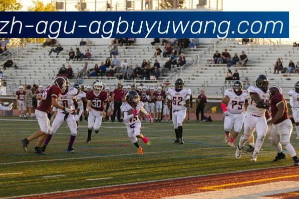 NBA火箭队对阵俄克拉荷马雷霆队精彩赛事回放